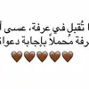 mimi.8561