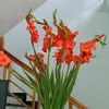 user1389309_