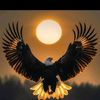 amirsohail7307
