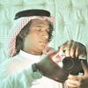 safeeralqamar