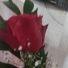 nergiz_00004747