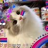 totallycute4tune