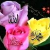 user2111430955010