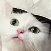 1maydoctoanthan