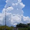 caubao006