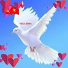binh.thuan30