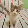 annaaydikou
