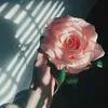 jessyjasmines