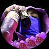 theniceboy06