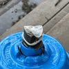 mysterious_condom69