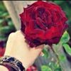 emad75950
