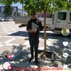 hayrettinbozan3