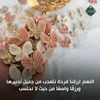 mo5566hammed