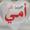 lina.ahmed674