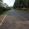 sterio_625