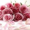 neveen.kassem