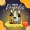 Agen Melia Propolis