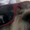 cocohp12