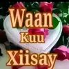 umusahal50