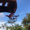 t_o_m_t_o_m3