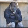 alan_smith1111