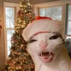 christmas_cat_25