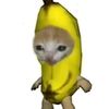 awfggccs