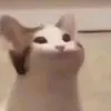 hihahih_o