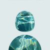 ocean2life