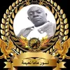 haayat499