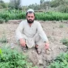 user241731370619