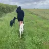 ravenbradshaw1