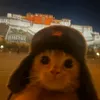pollo_official16