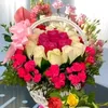 hoa.thanh.hoa6