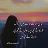 shehzal80