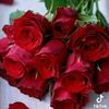user2851152352117wourout