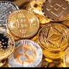 cryptonovellino