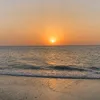 aya.rawaa_88