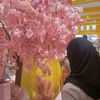 dearlycf
