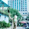 hujan271198