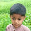 alia87998