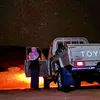 alfauori515