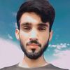 muhammadabid3524