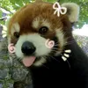 ghxbhjzbx