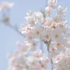 ji__li.n