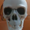 marcoxdx1