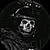sef_joes