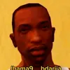 lhamag__bdarija