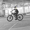 dalds_