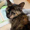 eiji03170502